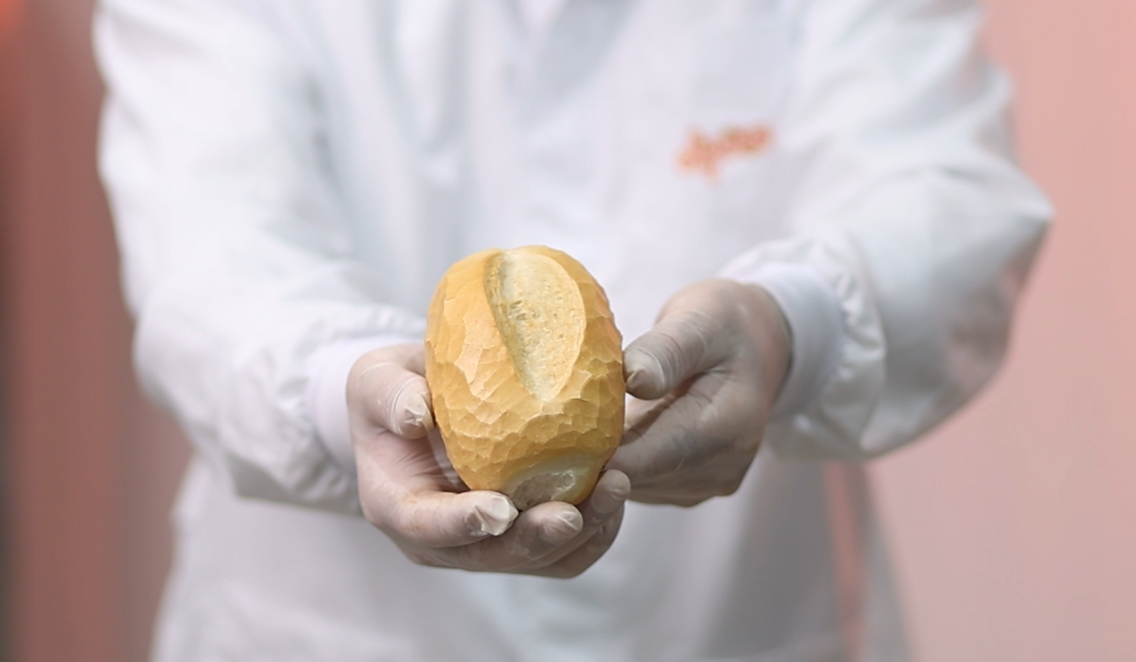 Dipães do Brasil acelera expansão com nova Indústria em Itajaí - SC